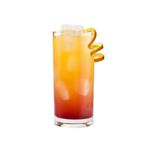 Juice Highball Glasses